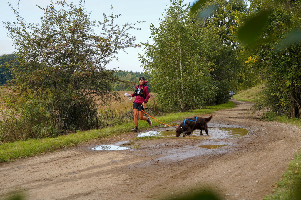 Tarnowskie Góry. Biegli z psami i pomagali psom