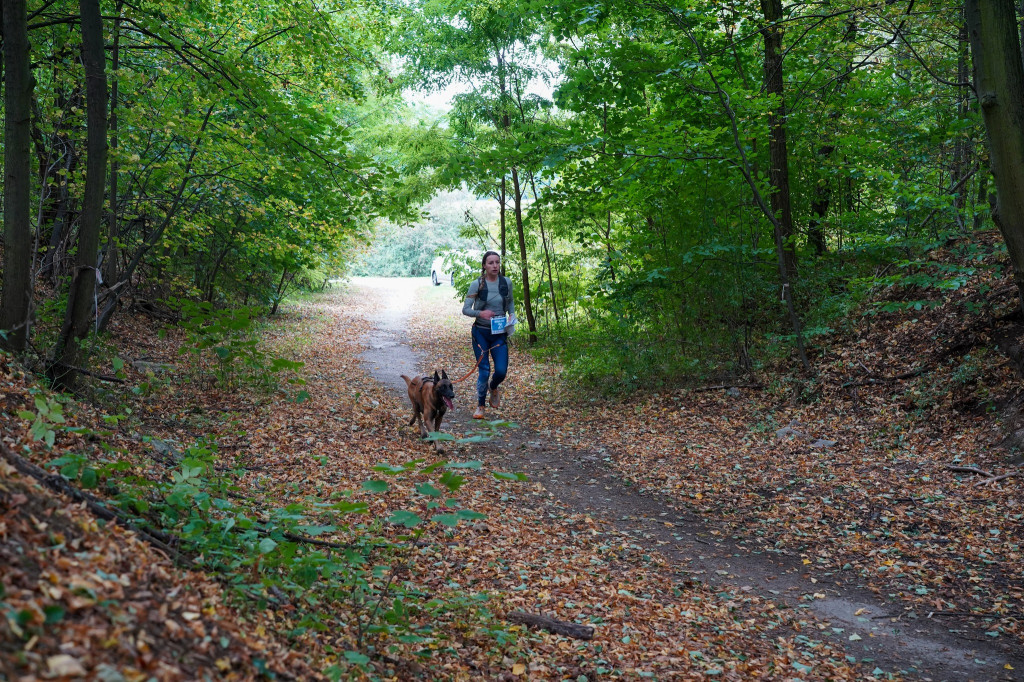 Tarnowskie Góry. Biegli z psami i pomagali psom