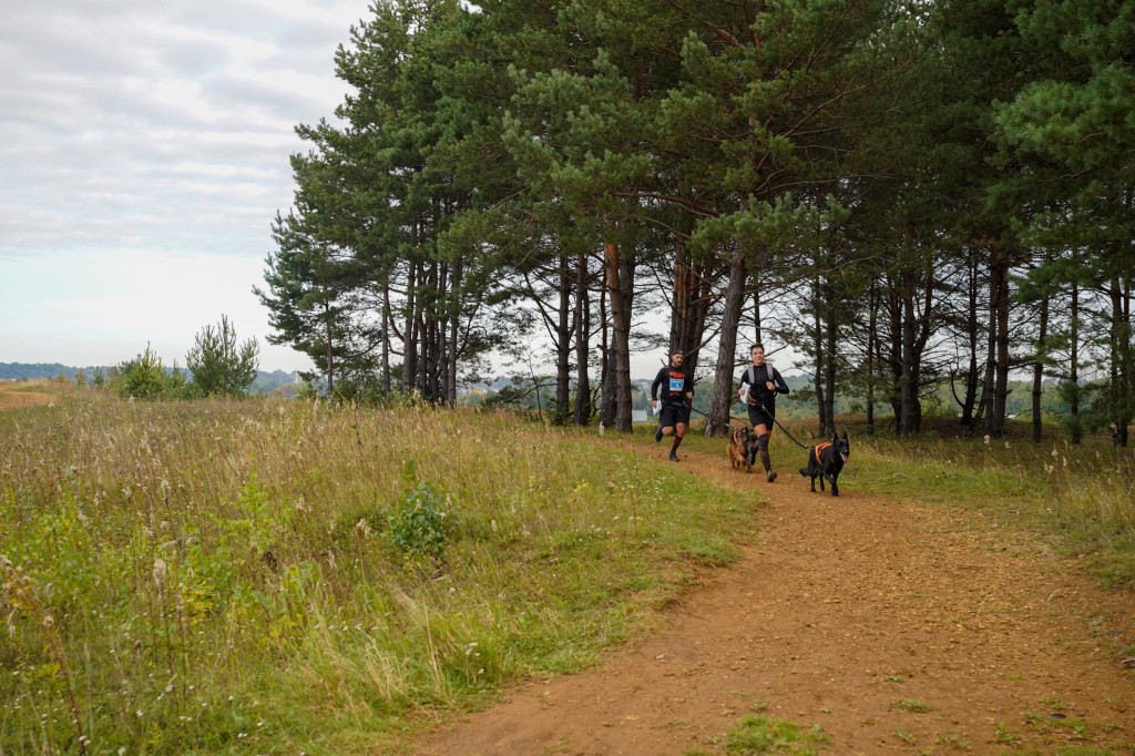 Tarnowskie Góry. Biegli z psami i pomagali psom