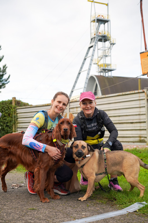 Tarnowskie Góry. Biegli z psami i pomagali psom