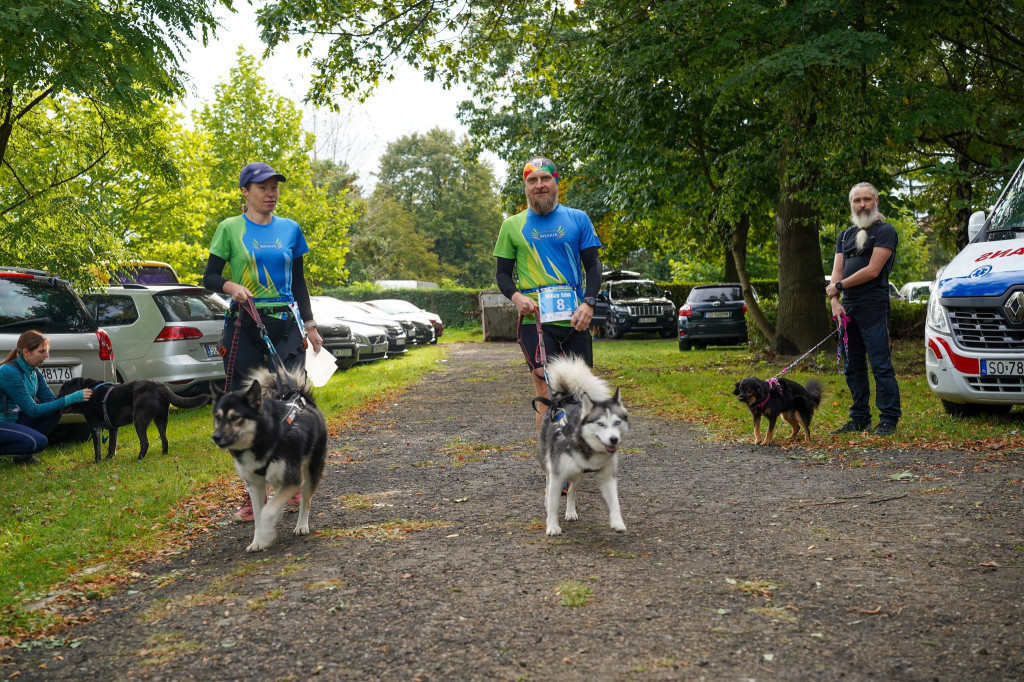 Tarnowskie Góry. Biegli z psami i pomagali psom