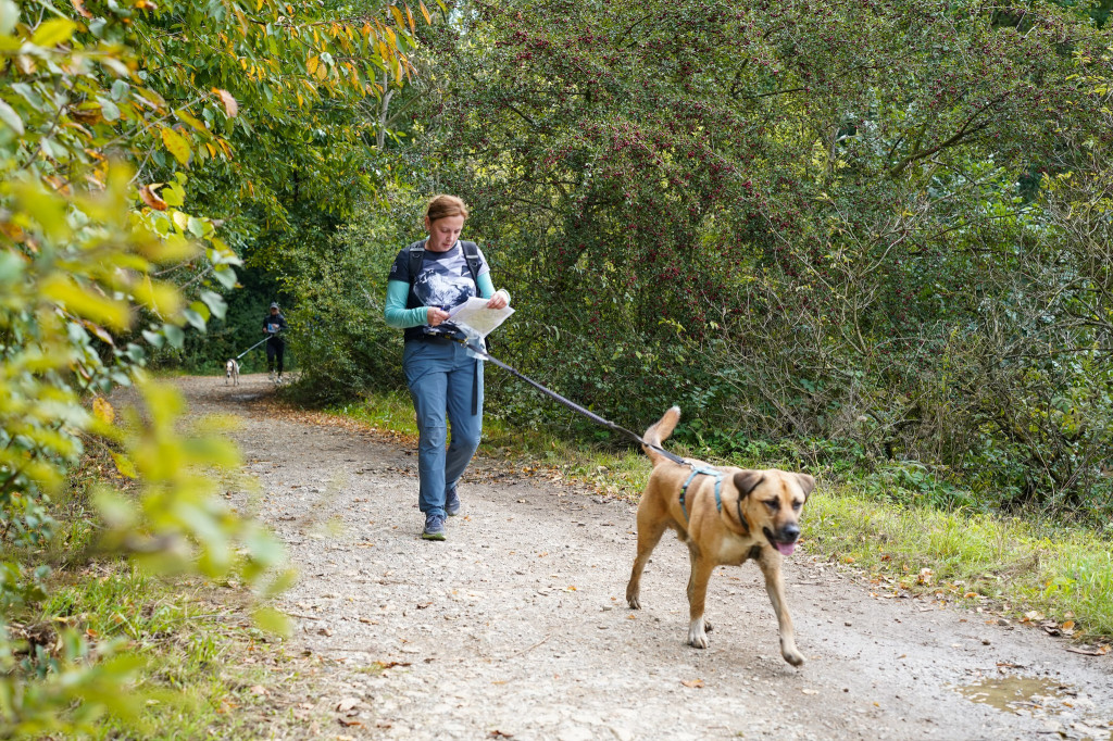 Tarnowskie Góry. Biegli z psami i pomagali psom