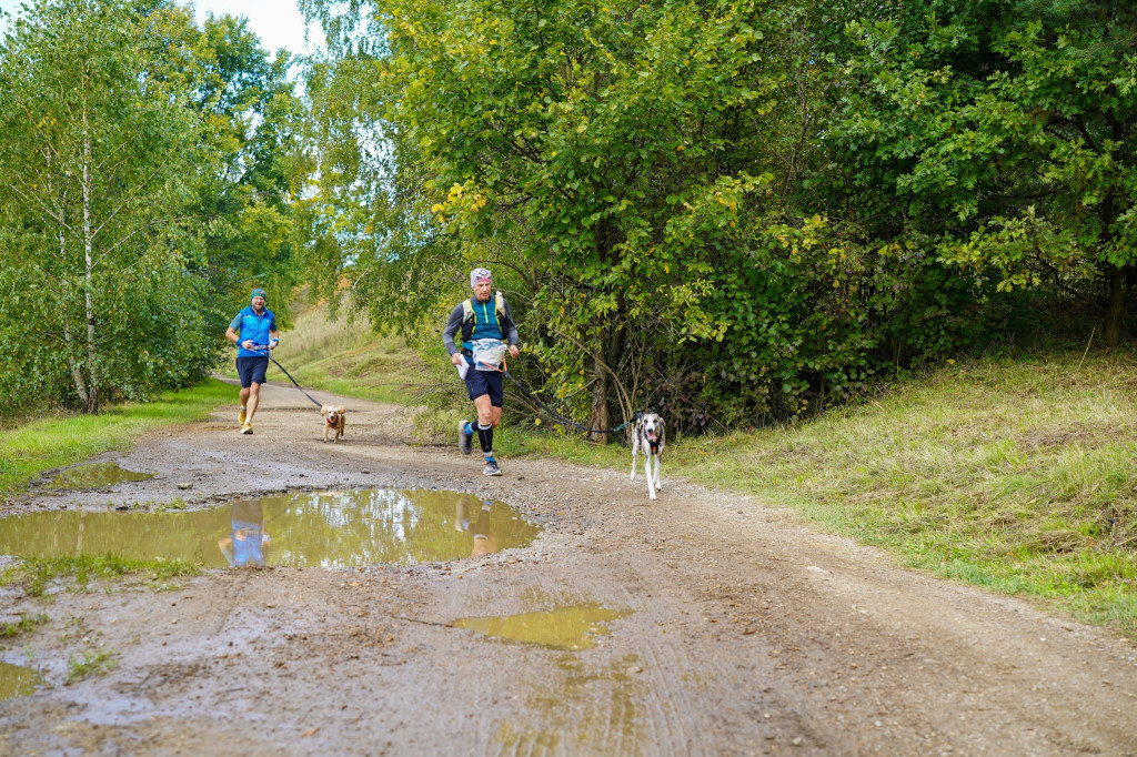 Tarnowskie Góry. Biegli z psami i pomagali psom