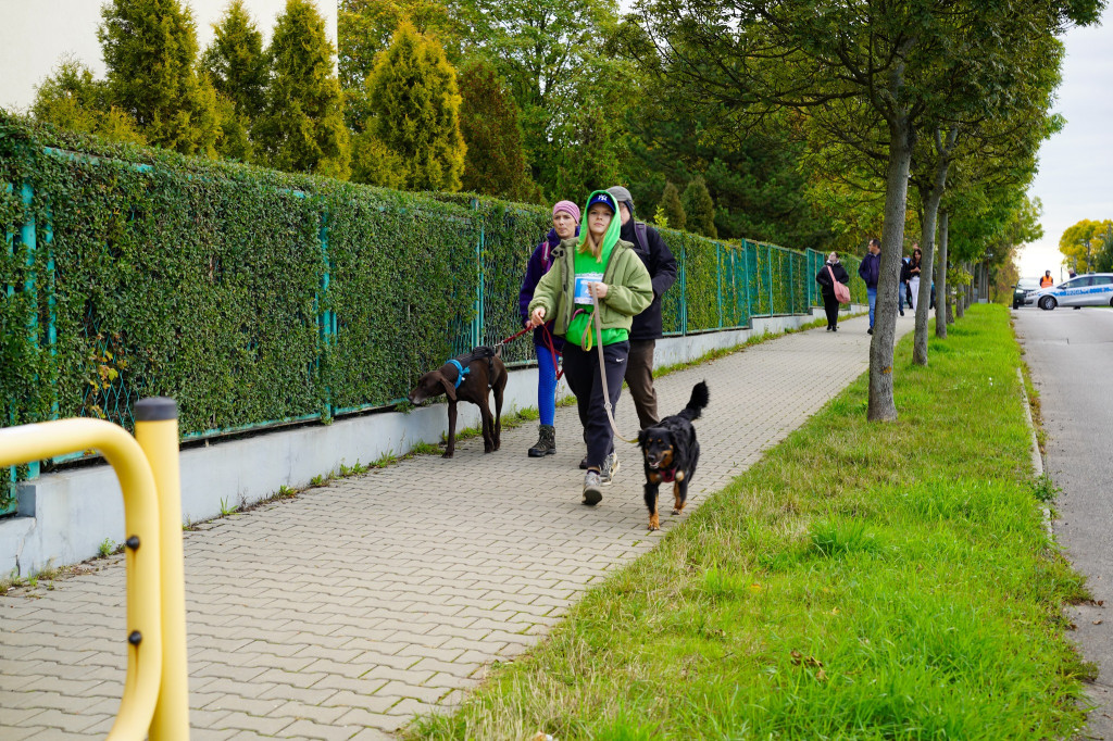Tarnowskie Góry. Biegli z psami i pomagali psom