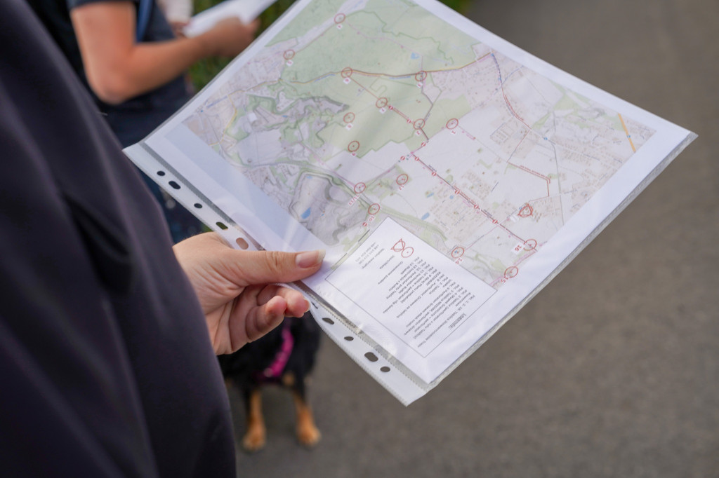 Tarnowskie Góry. Biegli z psami i pomagali psom