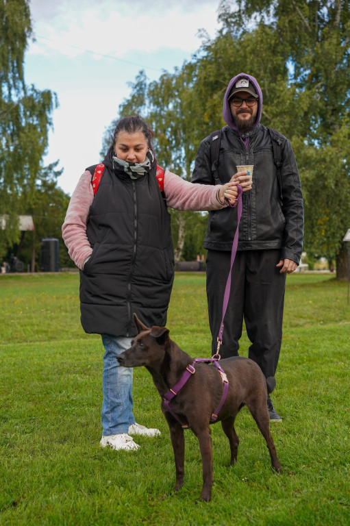Tarnowskie Góry. Biegli z psami i pomagali psom