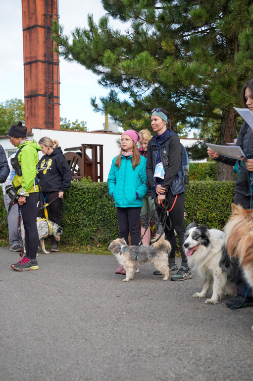 Tarnowskie Góry. Biegli z psami i pomagali psom
