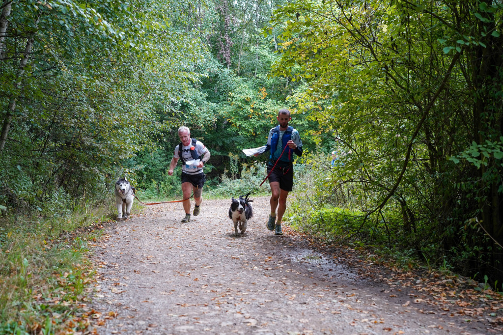 Tarnowskie Góry. Biegli z psami i pomagali psom