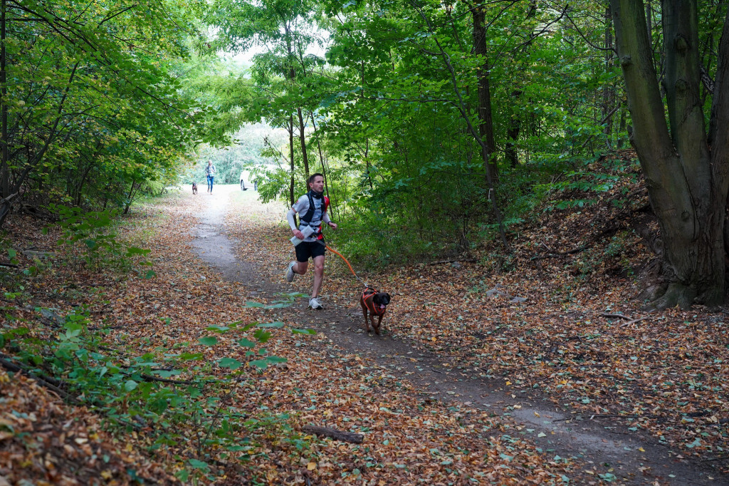 Tarnowskie Góry. Biegli z psami i pomagali psom
