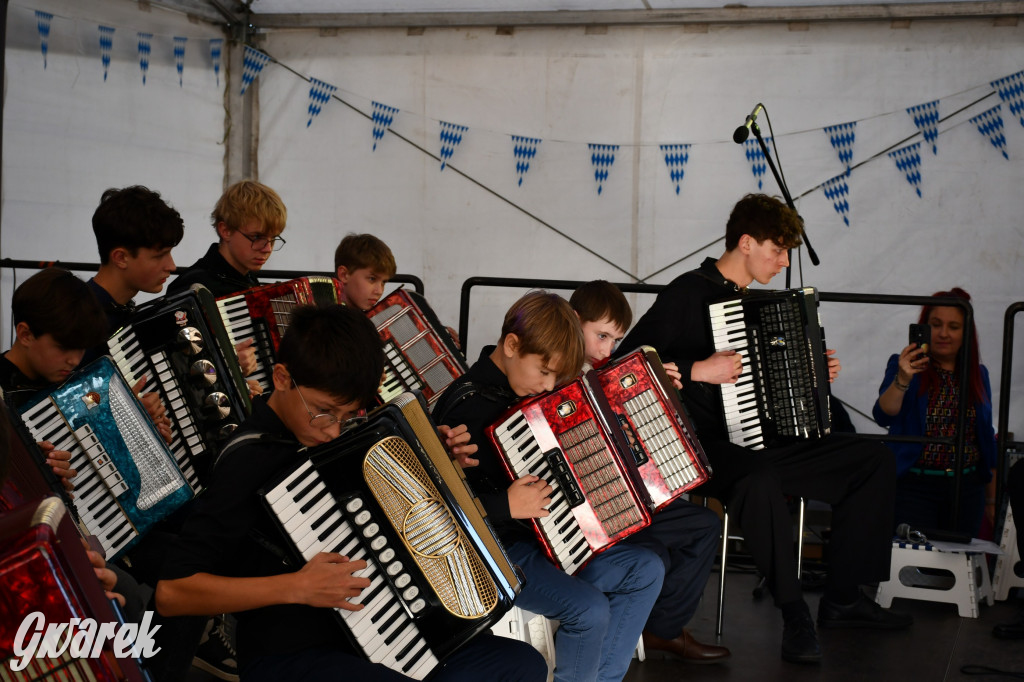Strzał w dziesiątkę, czyli udany debiut OpatowitzerFest