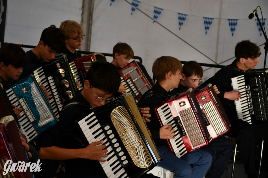 Strzał w dziesiątkę, czyli udany debiut OpatowitzerFest