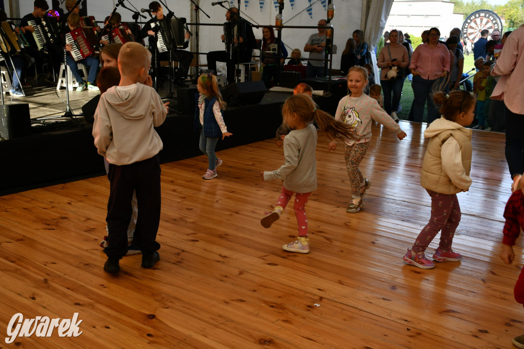 Strzał w dziesiątkę, czyli udany debiut OpatowitzerFest