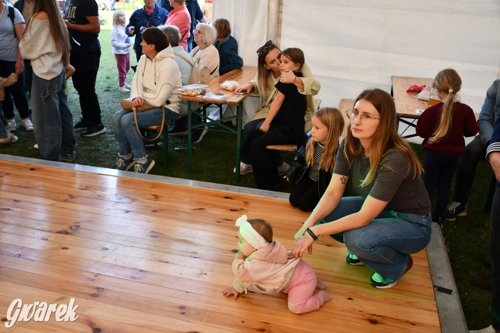 Strzał w dziesiątkę, czyli udany debiut OpatowitzerFest