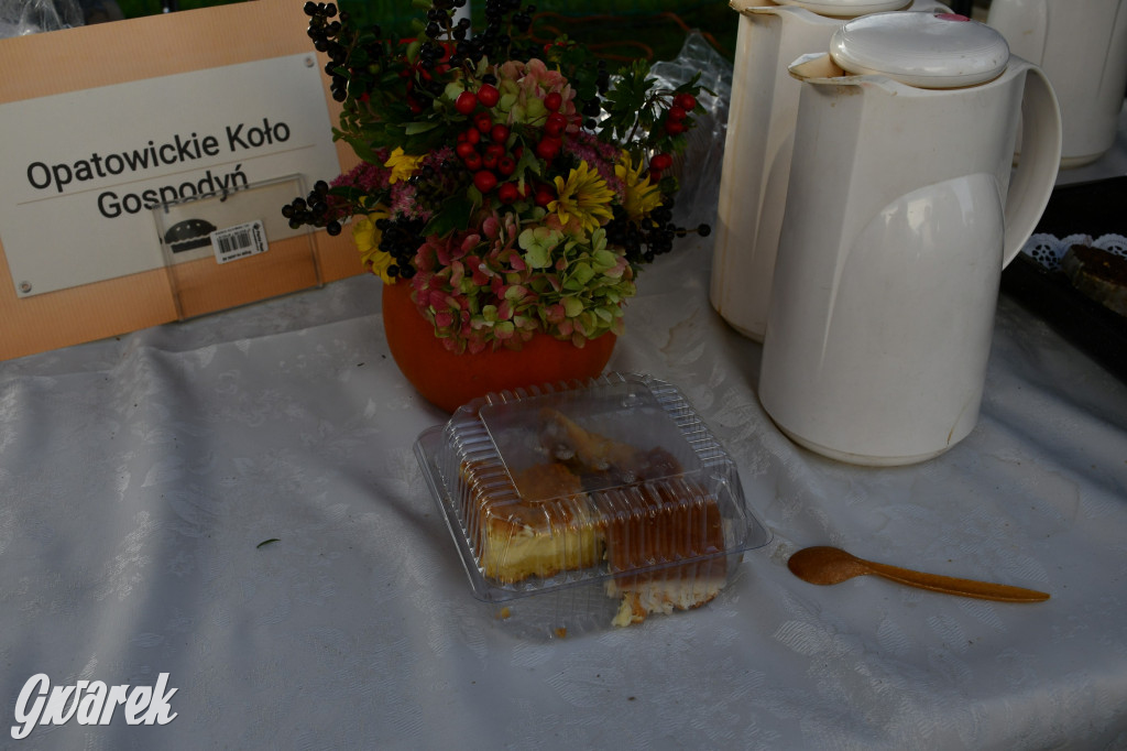 Strzał w dziesiątkę, czyli udany debiut OpatowitzerFest