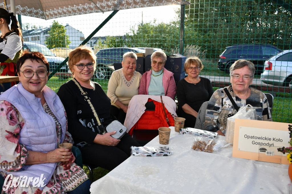 Strzał w dziesiątkę, czyli udany debiut OpatowitzerFest