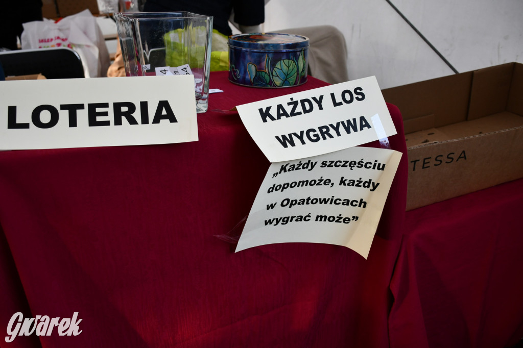 Strzał w dziesiątkę, czyli udany debiut OpatowitzerFest