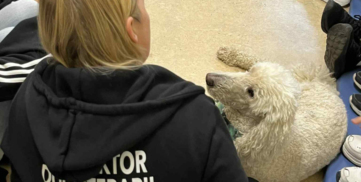 Pudel królewski i błędy młodości. Działo się w CZP