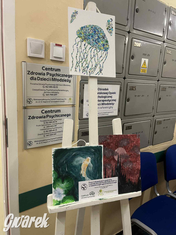 Pudel królewski i błędy młodości. Działo się w CZP