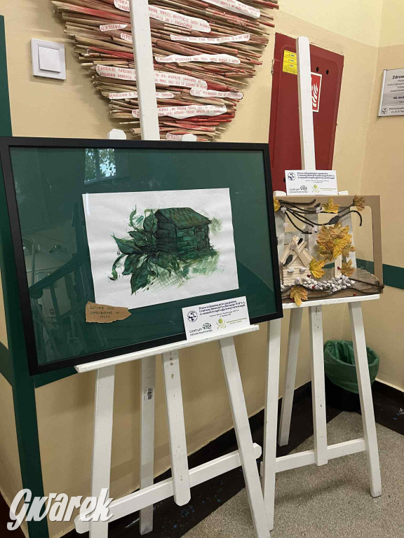 Pudel królewski i błędy młodości. Działo się w CZP