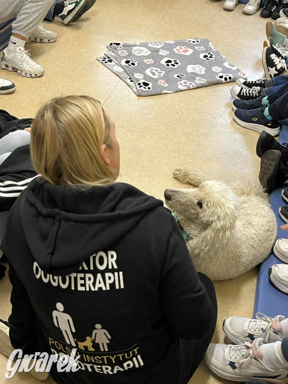 Pudel królewski i błędy młodości. Działo się w CZP