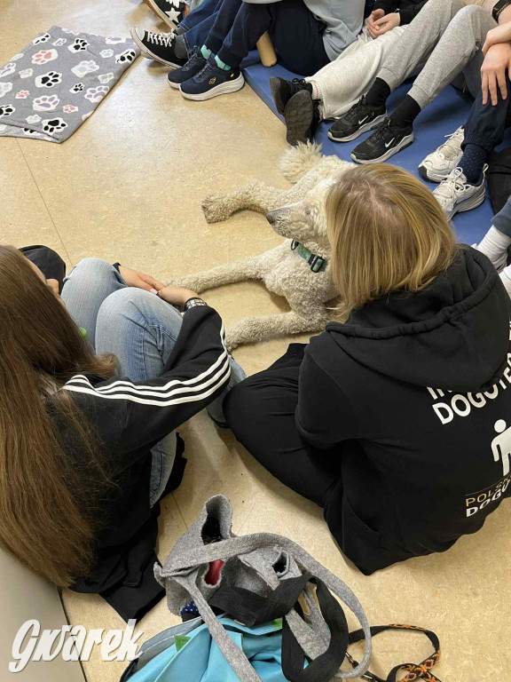 Pudel królewski i błędy młodości. Działo się w CZP