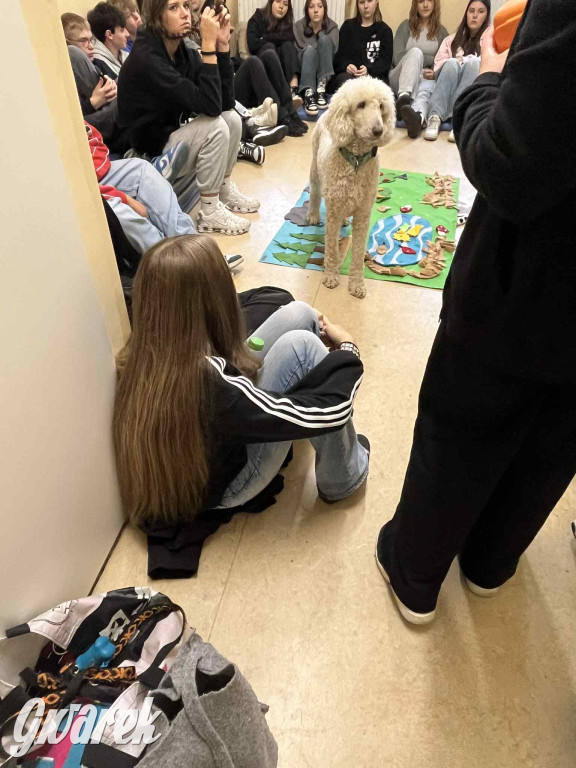 Pudel królewski i błędy młodości. Działo się w CZP