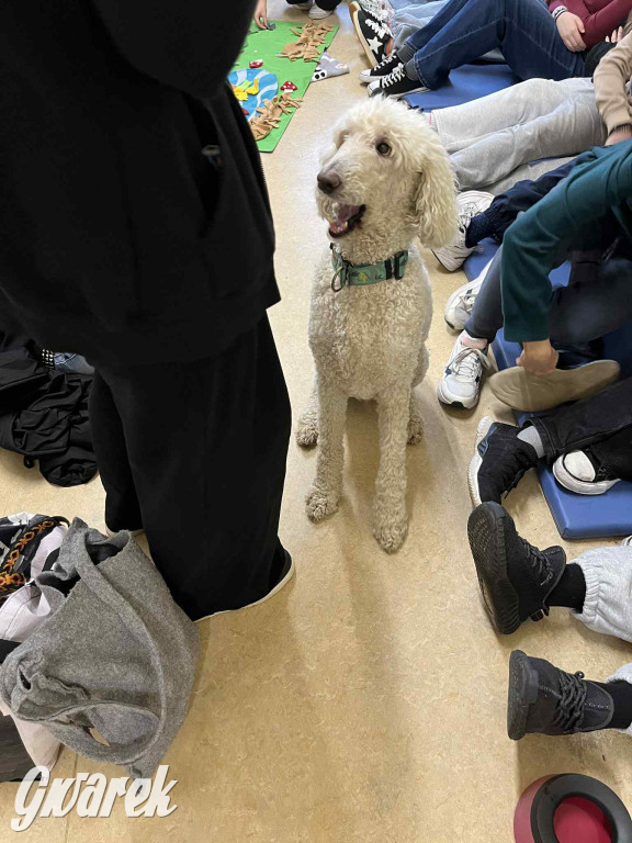 Pudel królewski i błędy młodości. Działo się w CZP