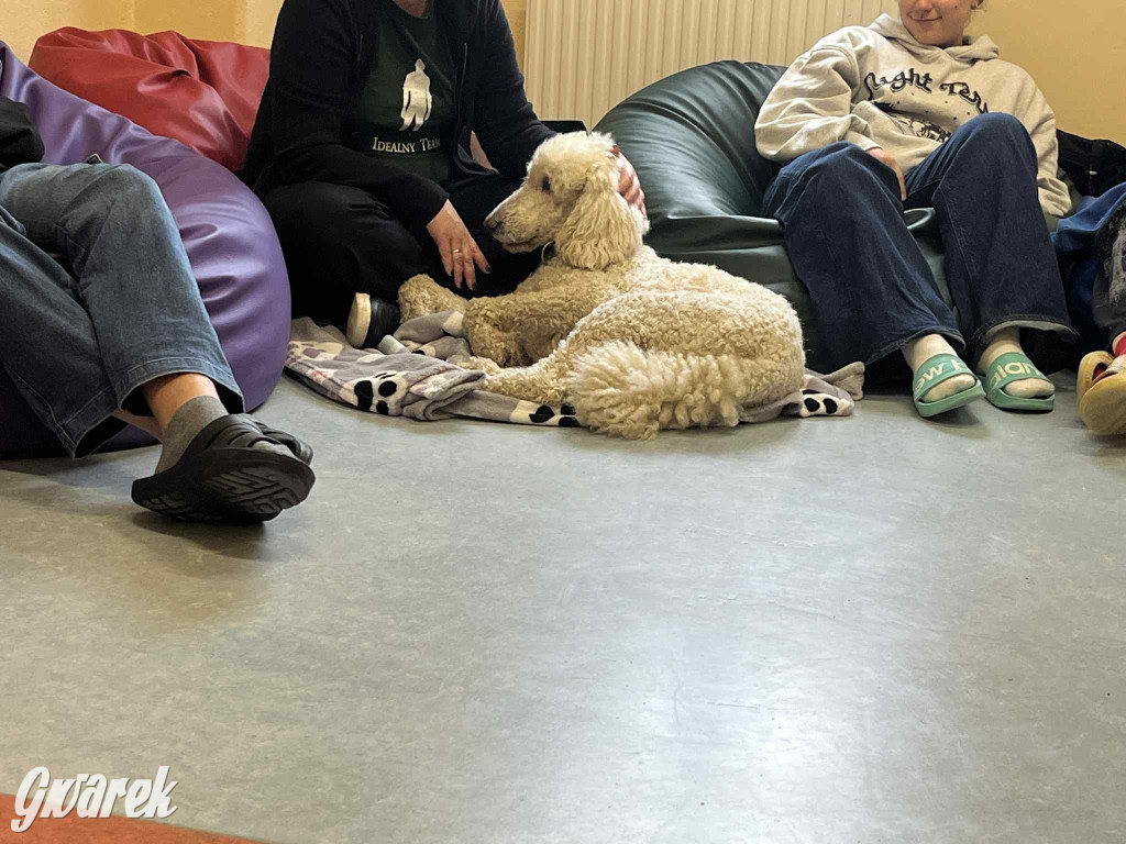 Pudel królewski i błędy młodości. Działo się w CZP