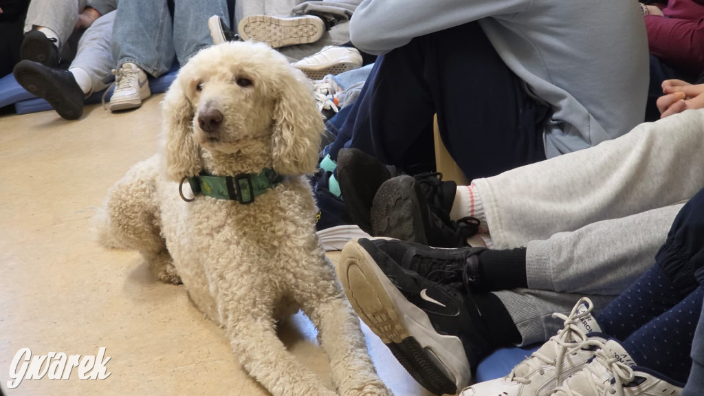 Pudel królewski i błędy młodości. Działo się w CZP