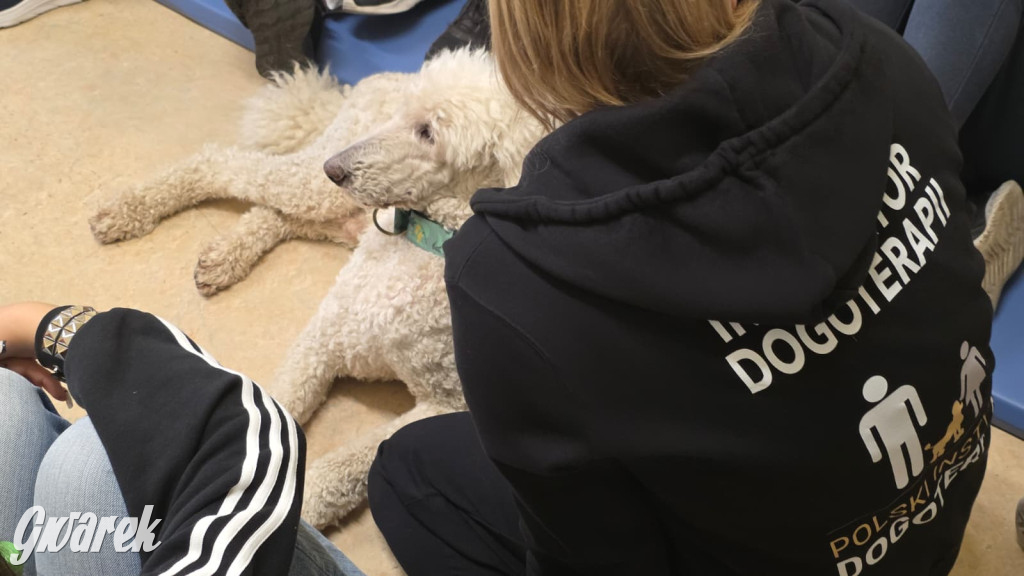 Pudel królewski i błędy młodości. Działo się w CZP