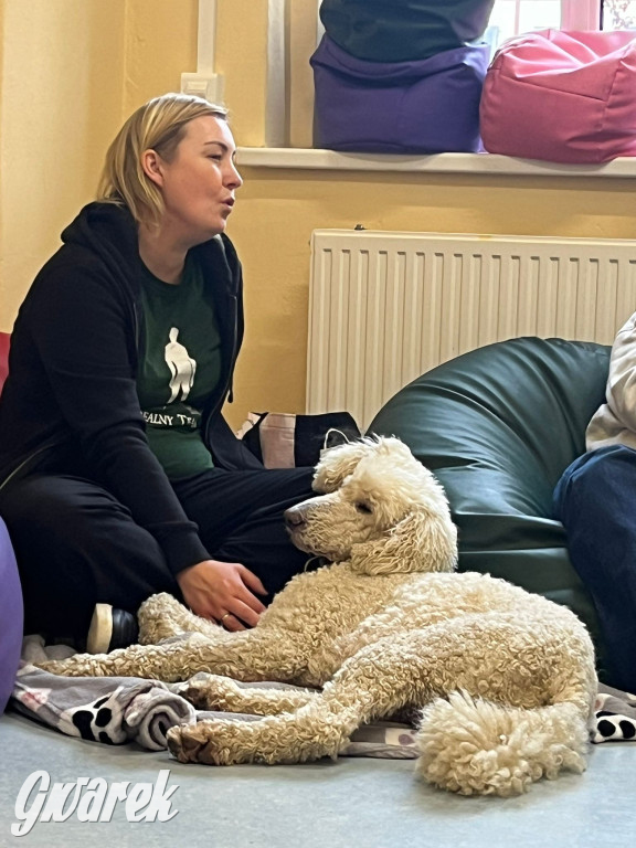 Pudel królewski i błędy młodości. Działo się w CZP