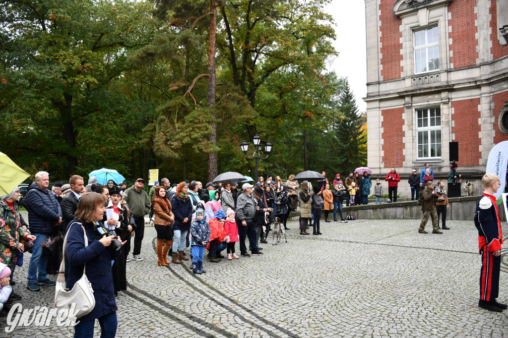 27. Hubertus Kawaleryjski w Świerklańcu