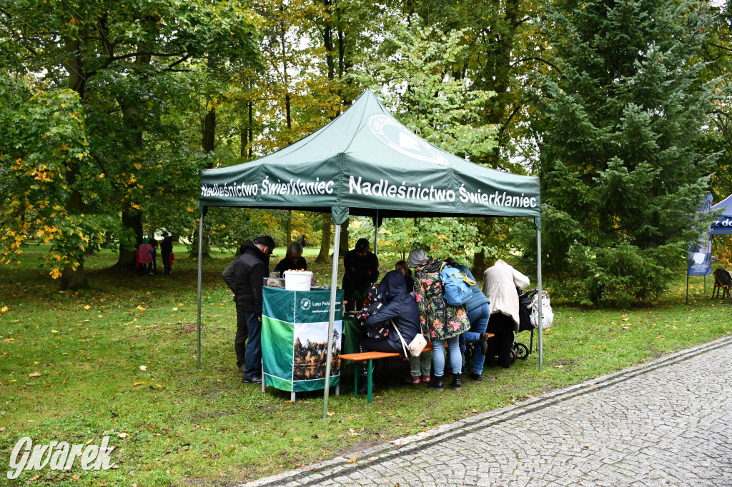 27. Hubertus Kawaleryjski w Świerklańcu