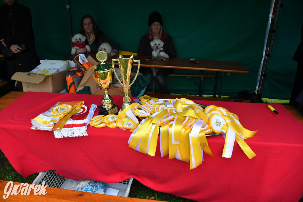 27. Hubertus Kawaleryjski w Świerklańcu