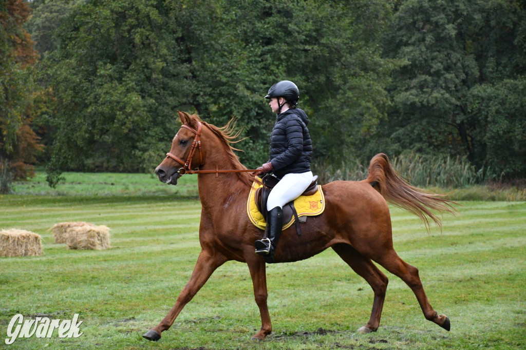 27. Hubertus Kawaleryjski w Świerklańcu