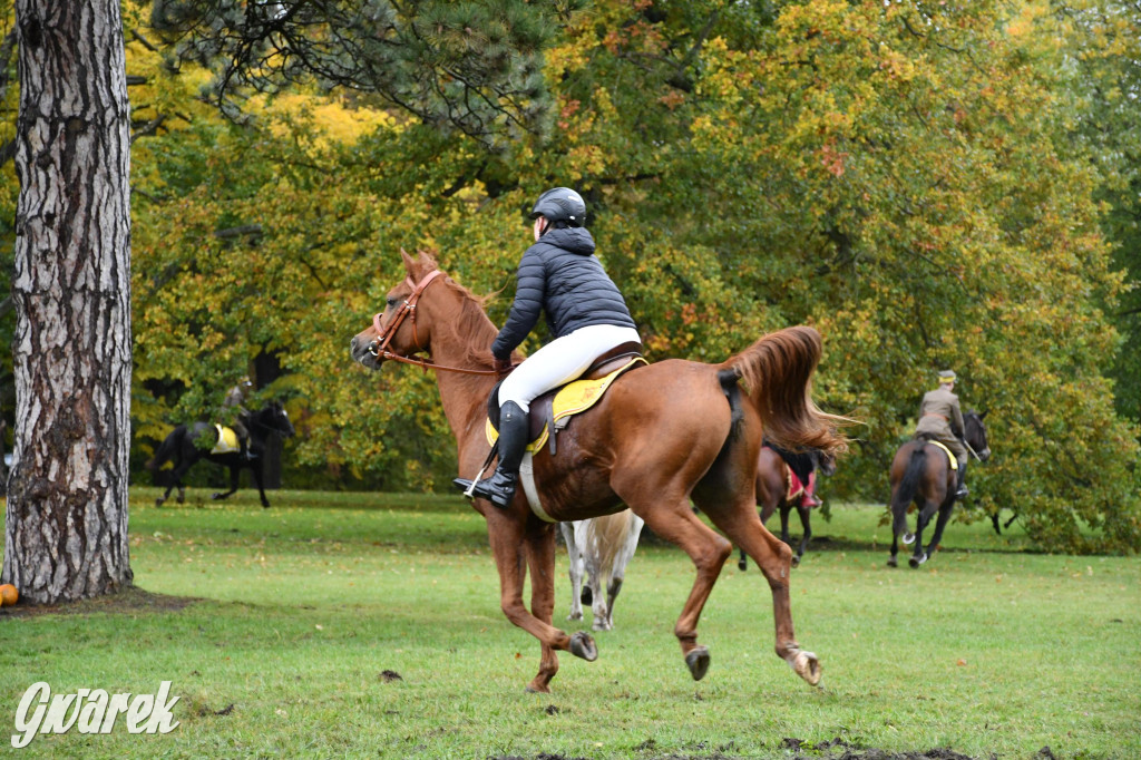 27. Hubertus Kawaleryjski w Świerklańcu