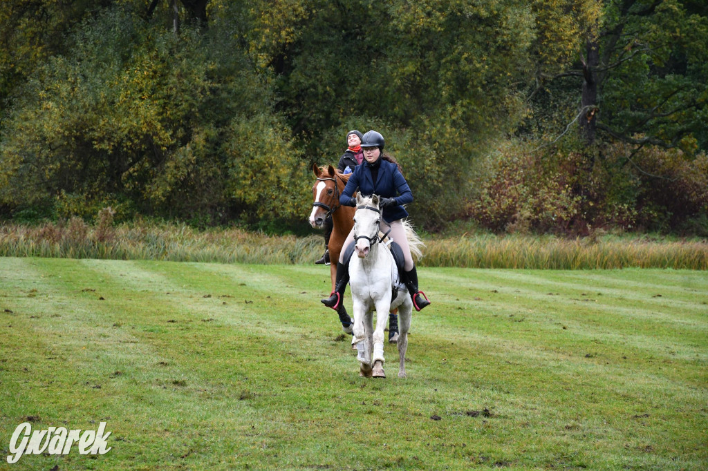 27. Hubertus Kawaleryjski w Świerklańcu