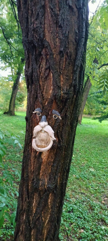 Za nami Otwarte Mistrzostwa Śląska. Tarnogórzanie z sukcesami