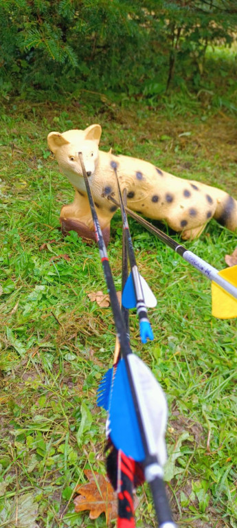 Za nami Otwarte Mistrzostwa Śląska. Tarnogórzanie z sukcesami