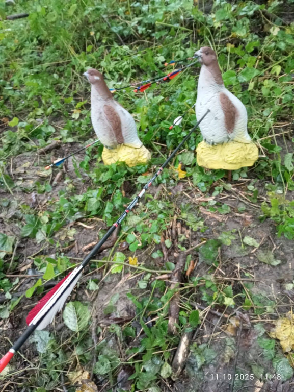 Za nami Otwarte Mistrzostwa Śląska. Tarnogórzanie z sukcesami