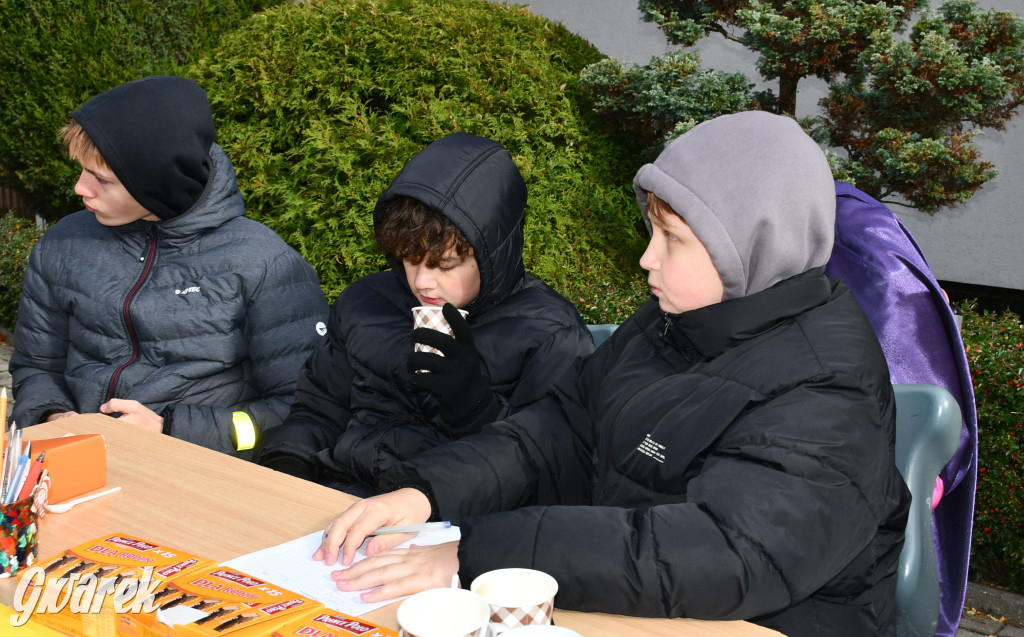 Szkoła świętuje. Piknik to dopiero początek!