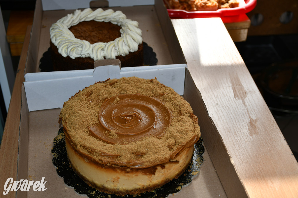 Szkoła świętuje. Piknik to dopiero początek!