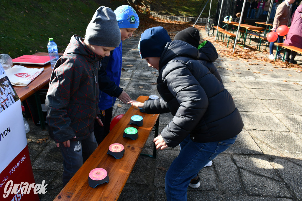 Szkoła świętuje. Piknik to dopiero początek!