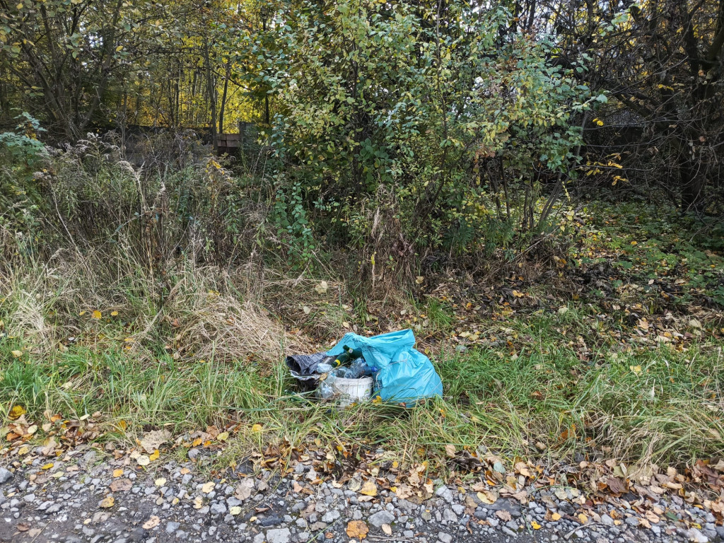 Misja sprzątanie. Tarnogórzanin zakasał rękawy