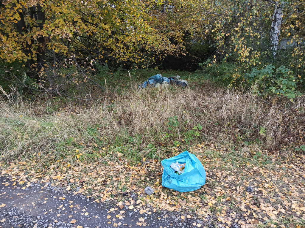 Misja sprzątanie. Tarnogórzanin zakasał rękawy