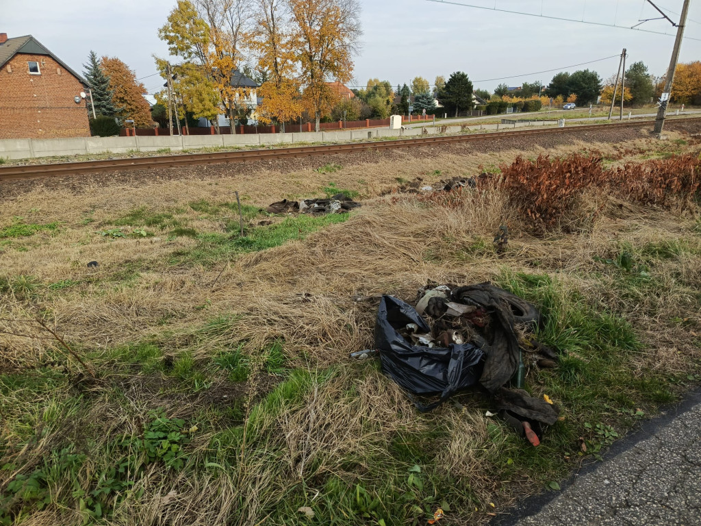 Misja sprzątanie. Tarnogórzanin zakasał rękawy