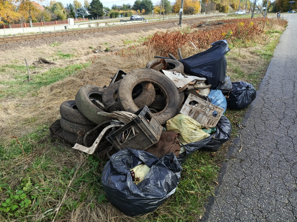 Misja sprzątanie. Tarnogórzanin zakasał rękawy