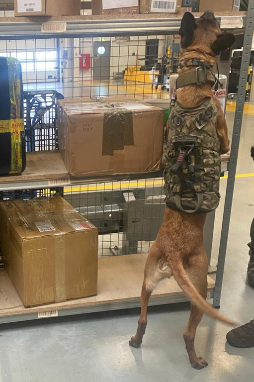 Katowice Airport. Komandosi z Lublińca i psy w akcji