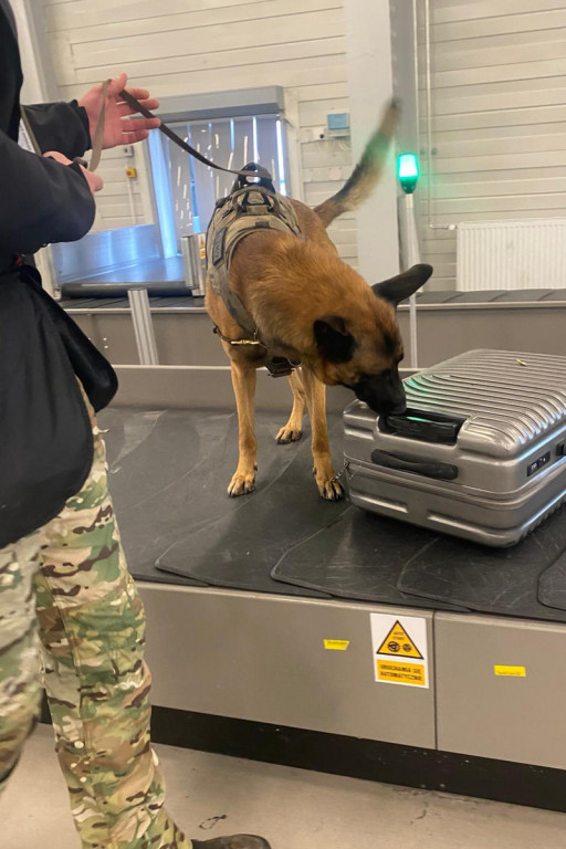 Katowice Airport. Komandosi z Lublińca i psy w akcji