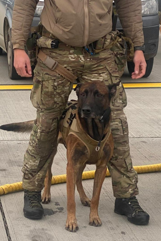 Katowice Airport. Komandosi z Lublińca i psy w akcji